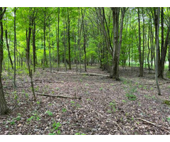 50 acres HUNTING LAND with POND and CREEK FRONTAGE