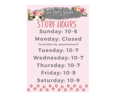Barks, Mews, & BBQ Adoption event at Sew Fluffy Kitties West Seneca