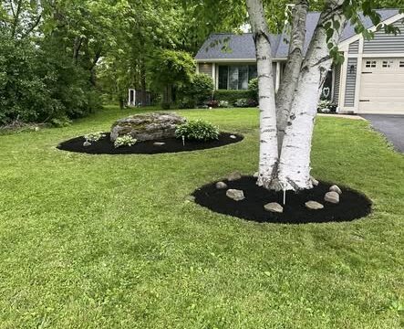 649849887_122133188702994325_3839949883003788919_n