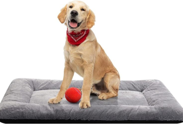 Dog Beds Crate Pad for Medium/Large Dogs Fit Metal