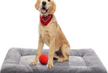 Dog Beds For Medium/Large