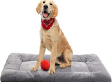 Dog Beds For Medium/Large