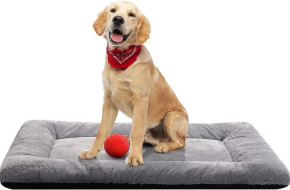 Dog Beds