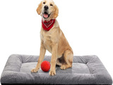 Dog Beds For Medium/Large